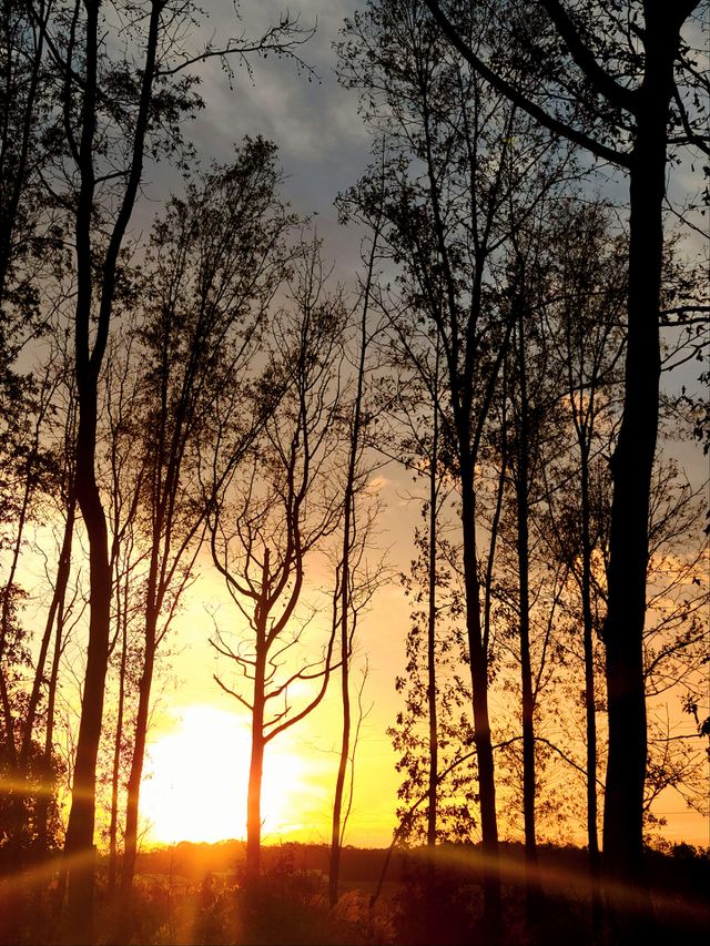 Orange Sunset 2