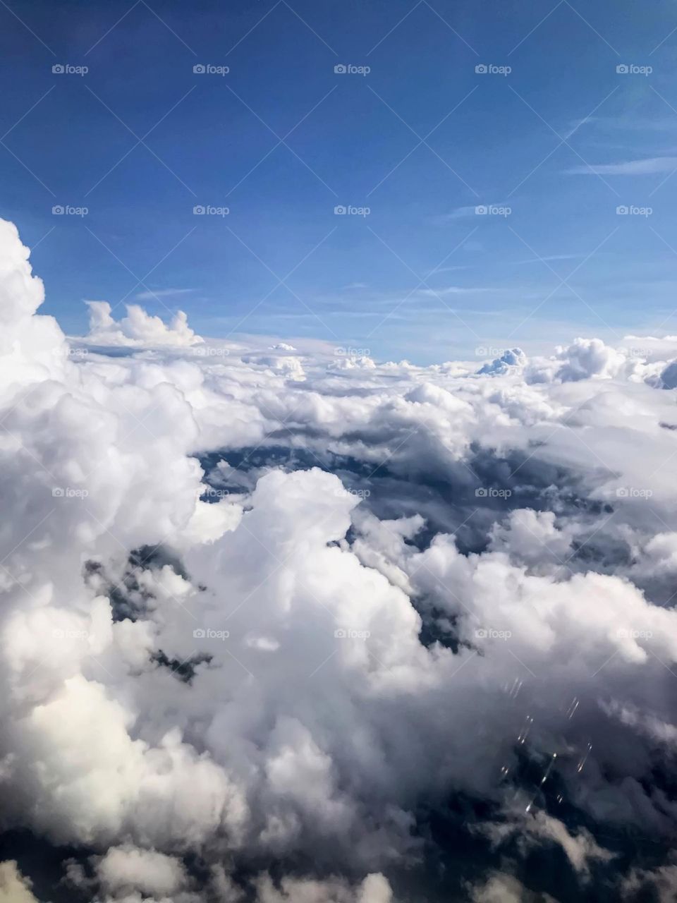 In this photo taken from an airplane, a large catlike animal appears to look at a human body laying at the bottom of the blue pool in the center of the photo. 