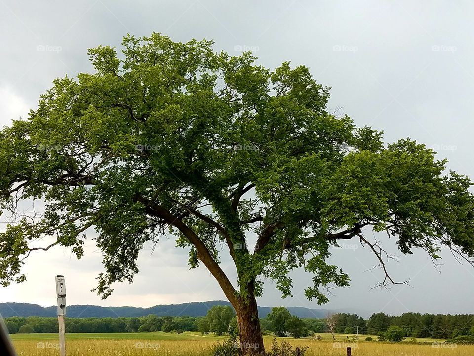 Driving the Back Roads and enjoying everything around us