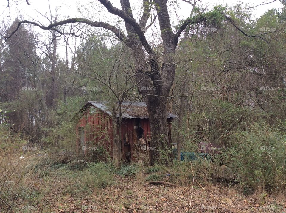 old shed