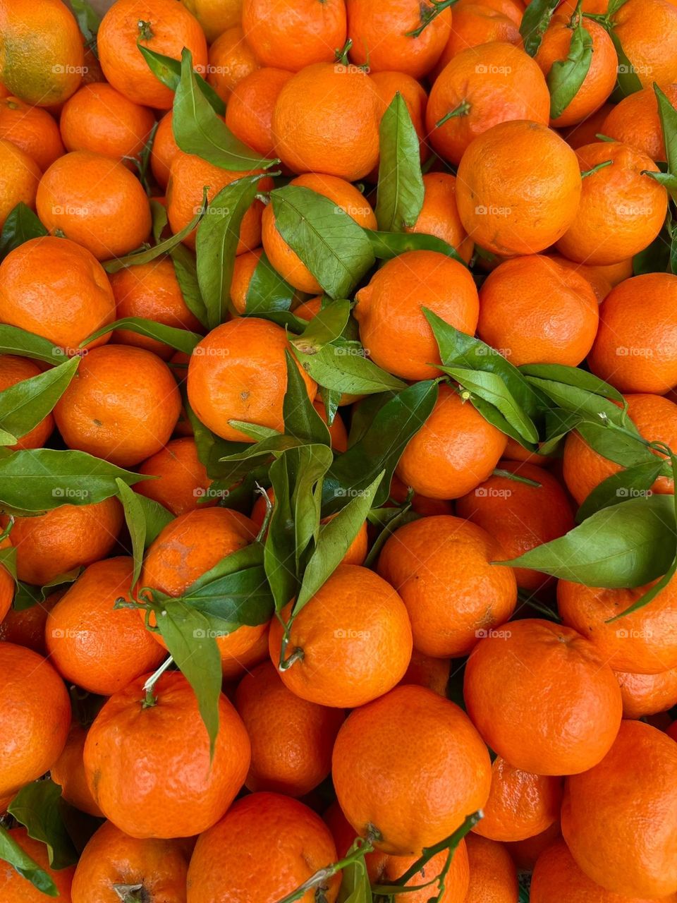 tangerines...croatia...medulin