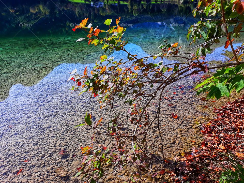 A simple autumnal picture