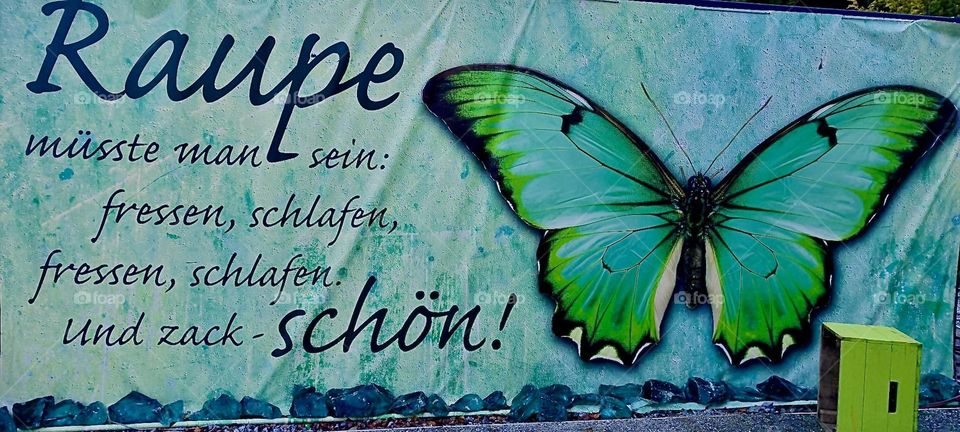 “Raupe” is German for caterpillar. The sign is for the “Bayerische Landesgartenschau” or “Bavarian State Garden Show” in “Freyung”.. It reads: “One should be a caterpillar; eat, sleep, eat, sleep and suddenly beautiful !” 2023. Hypnotic Productions
