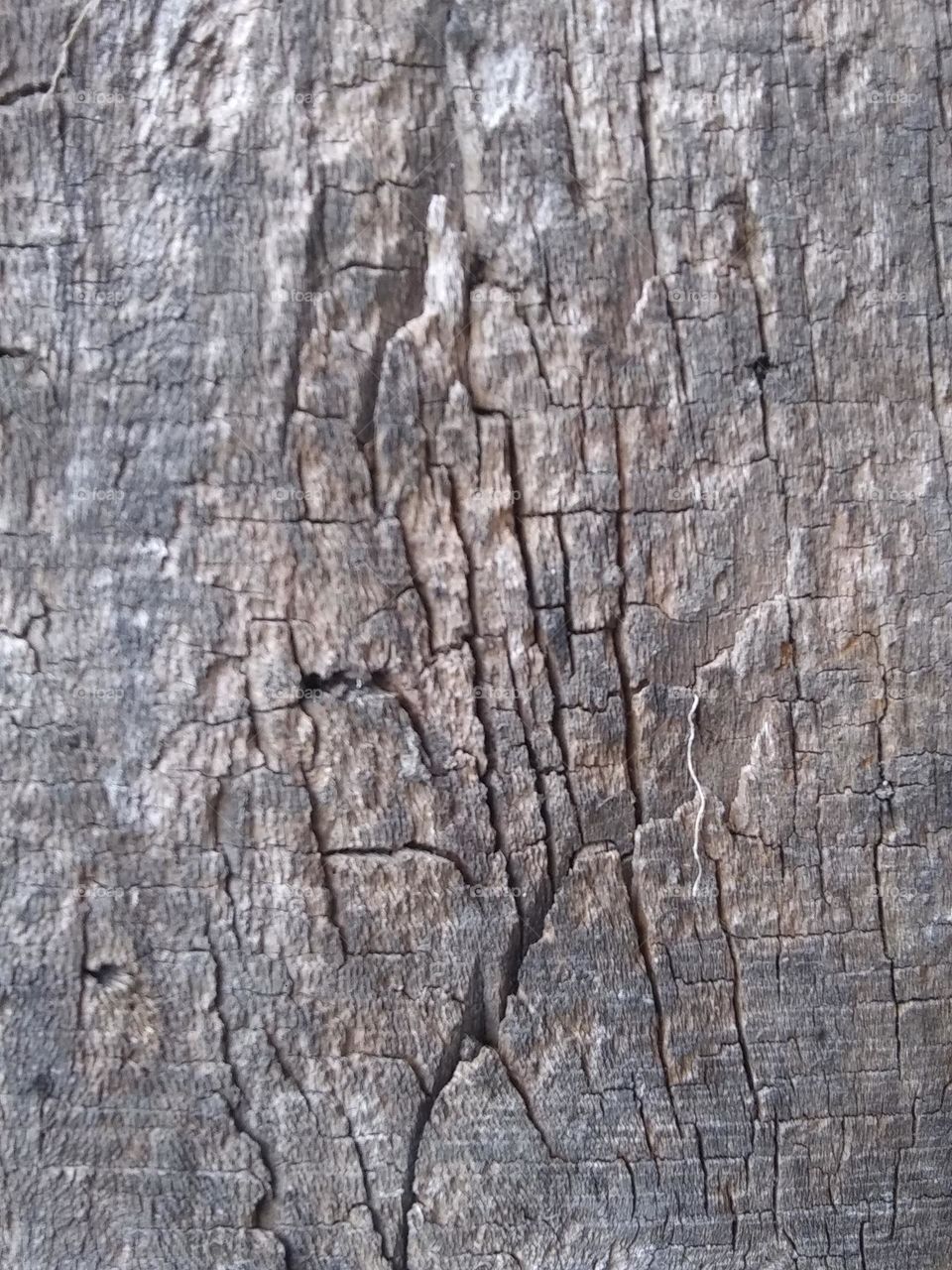 texture of cracked wood