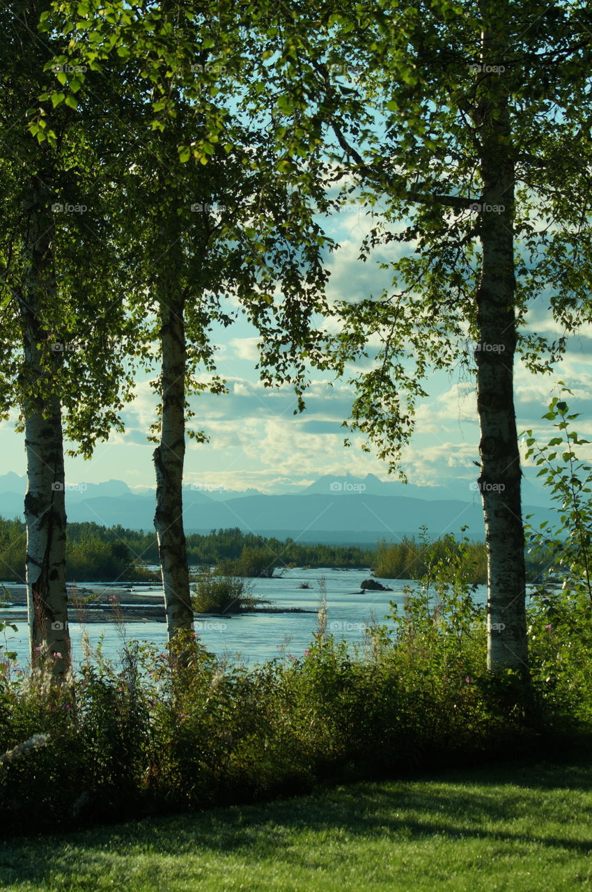 View from campsite in Talkeetna