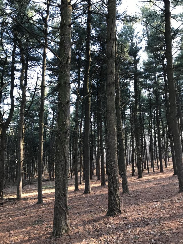 let’s get lost together