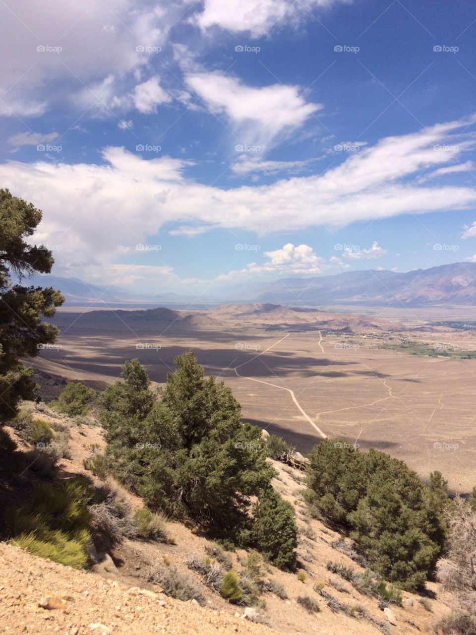 Desert Viewpoint 