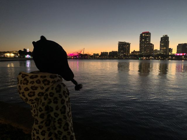 City sunset 