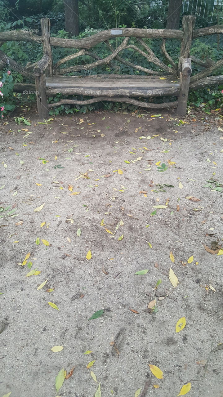Rustic Bench Central Park
