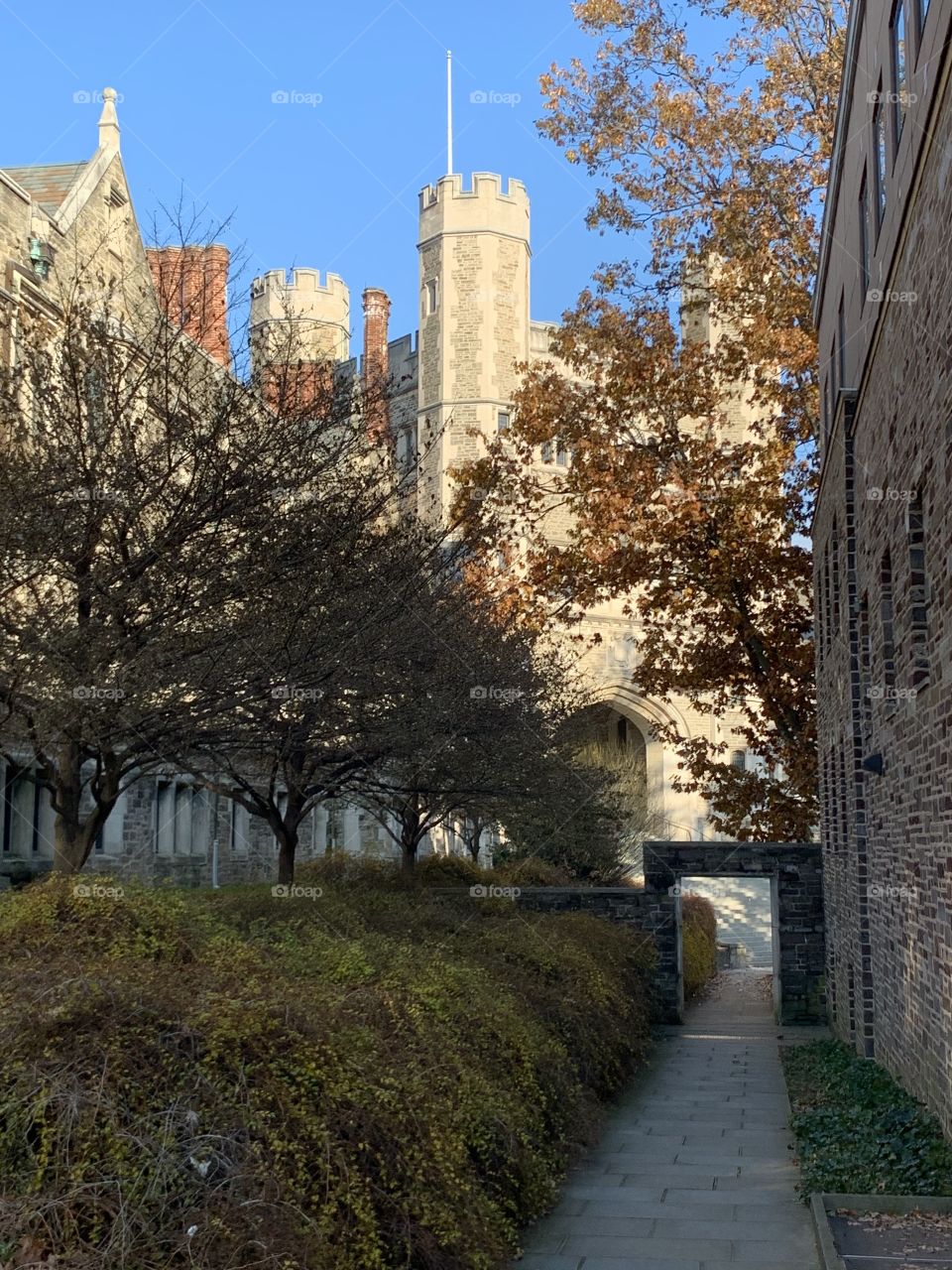 Princeton University campus