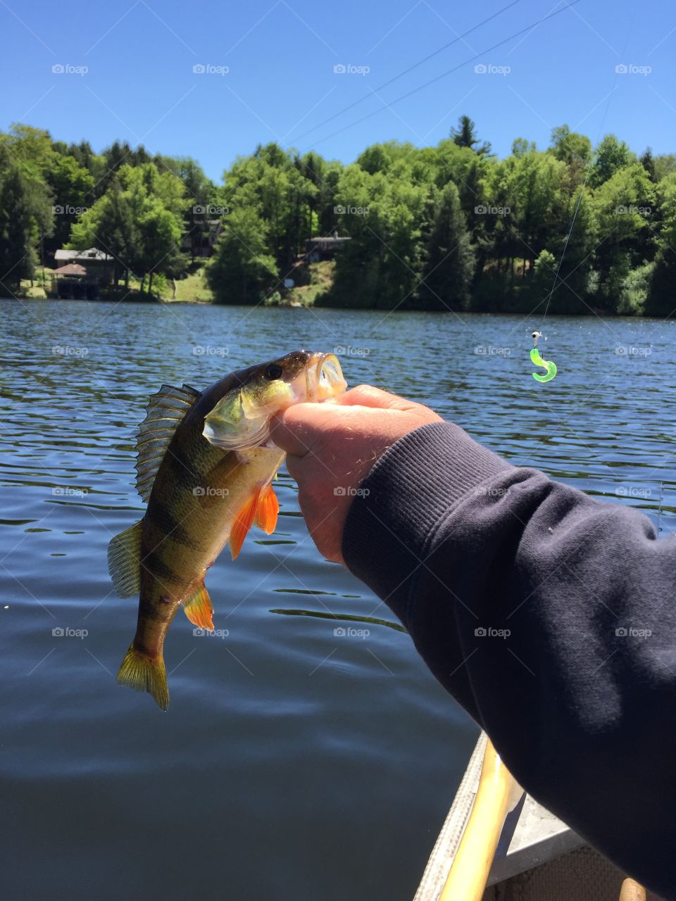 Water is great for fishing!