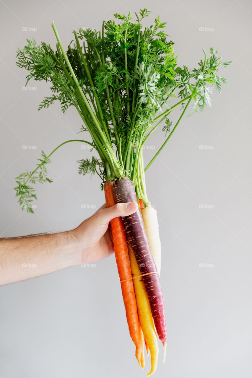 Hand Holds Rainbow Carrots
