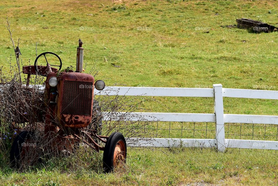 Old Tractor