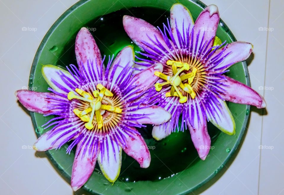 Passion Vine flowers in Green bowl