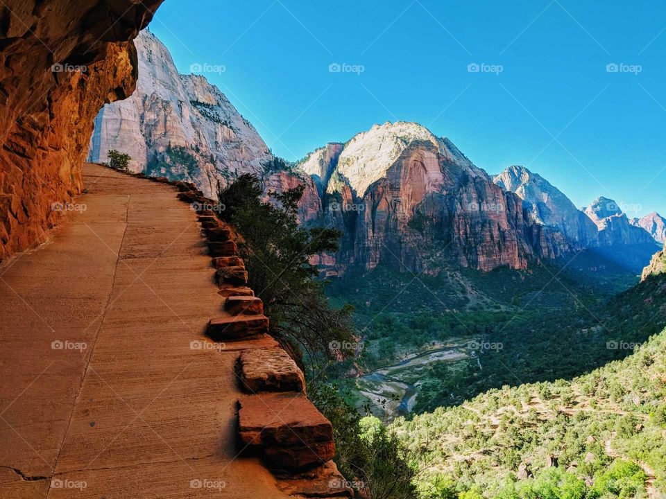 trail up to Angel's Landing at Zion National Park in Utah