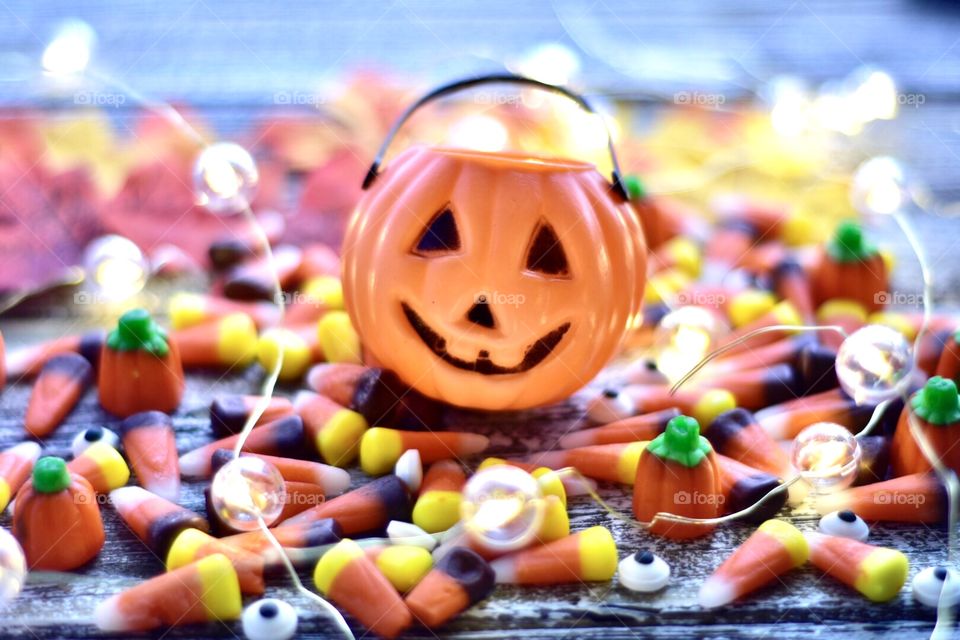 Pumpkin everything Halloween candy 