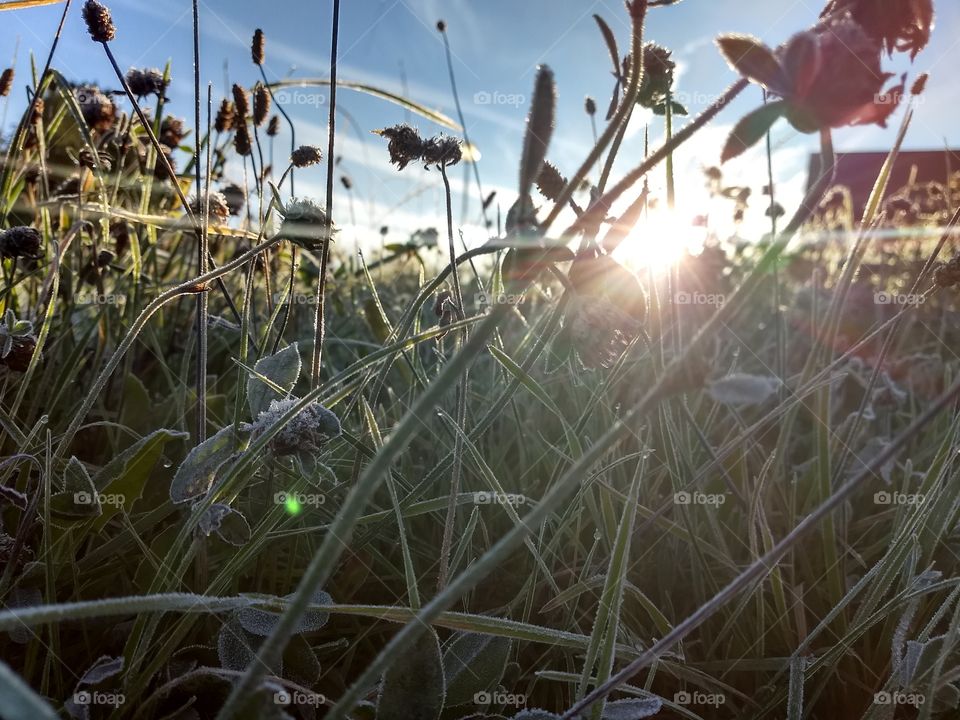 herbstmorgen