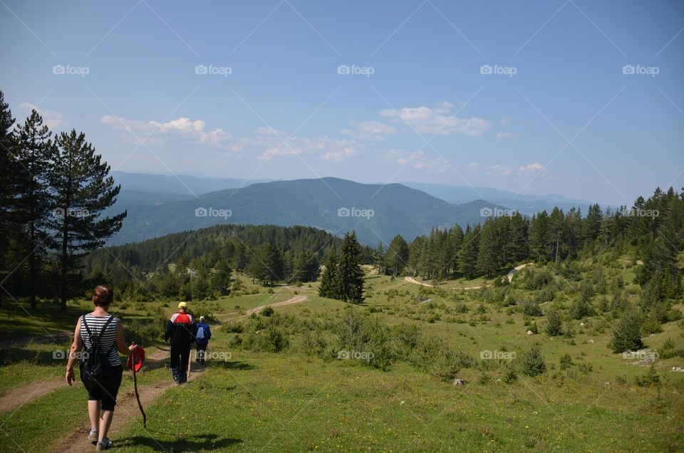 Let's go on a hike, Rhodope Mountains, Bulgaria