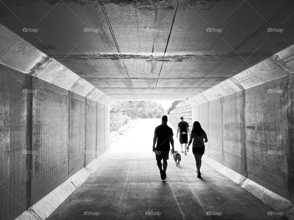 A group of friends walk a dog through a dark concrete tunnel during a hot summer day. 