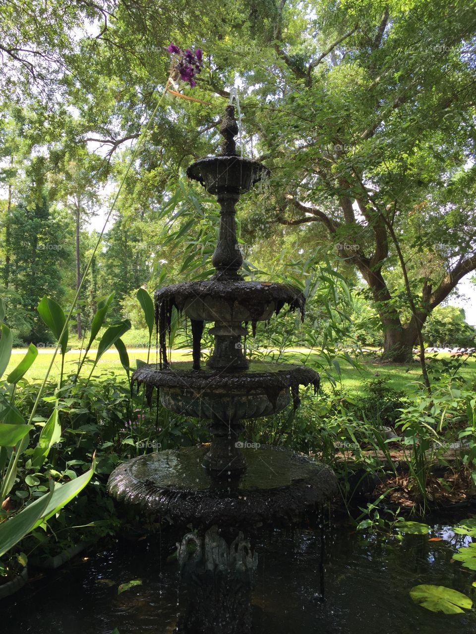Rustic water fountain