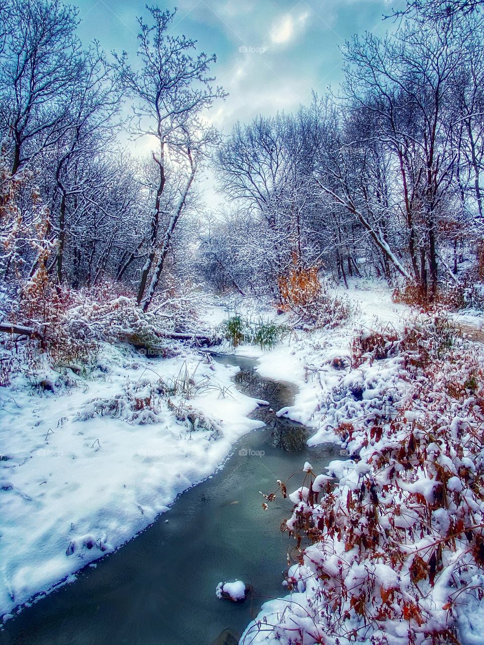 Winter nature