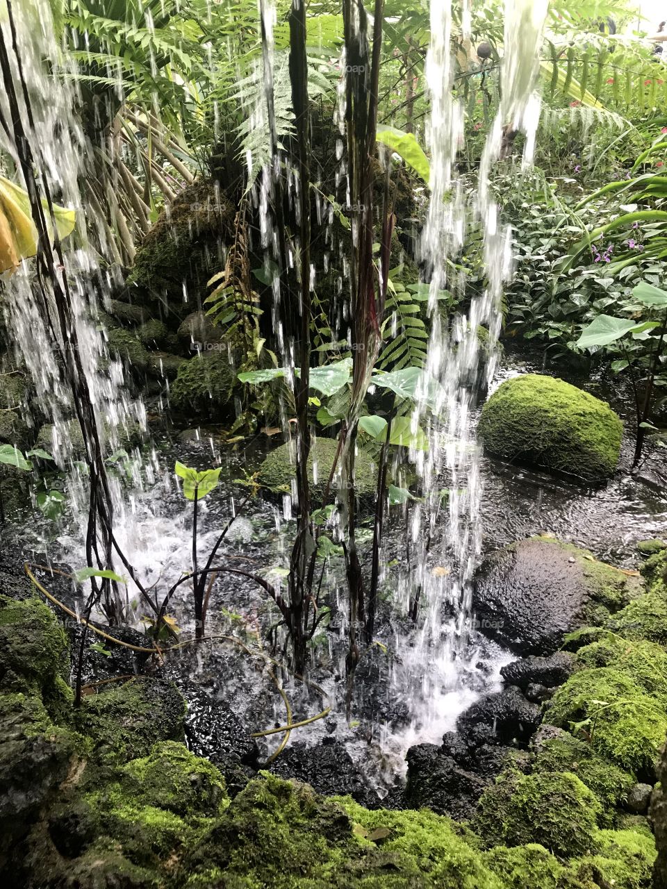 Waterfall Jungle 