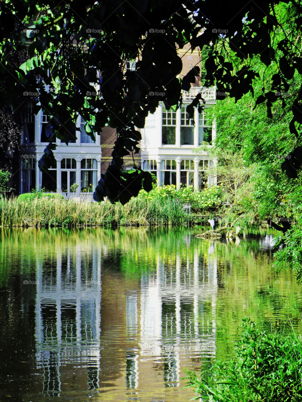 green spring lake window by cabday