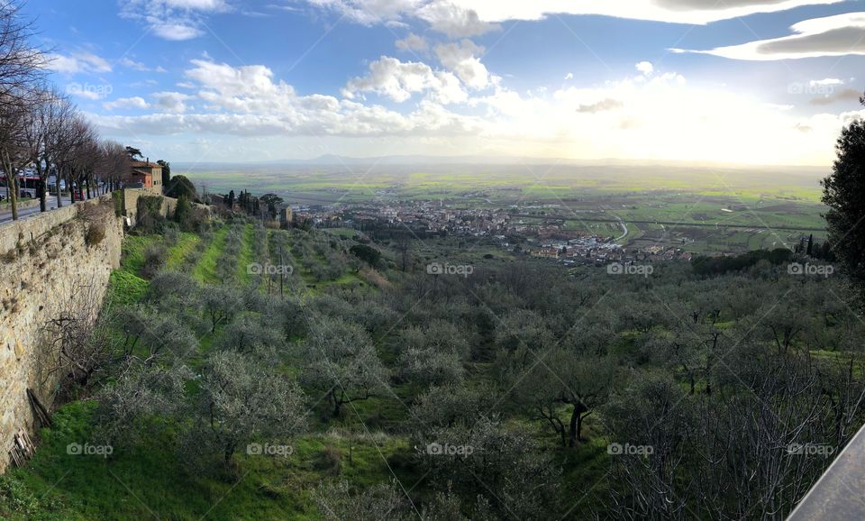 Hilltop view of the town and an olive grove - Cortona, Italy