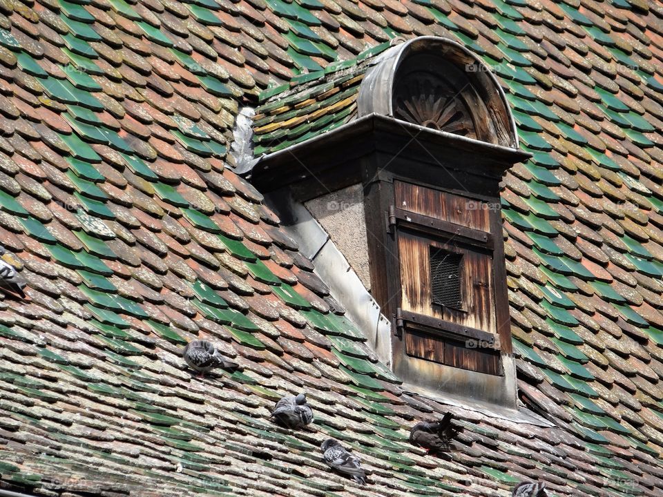 Alsace architecture