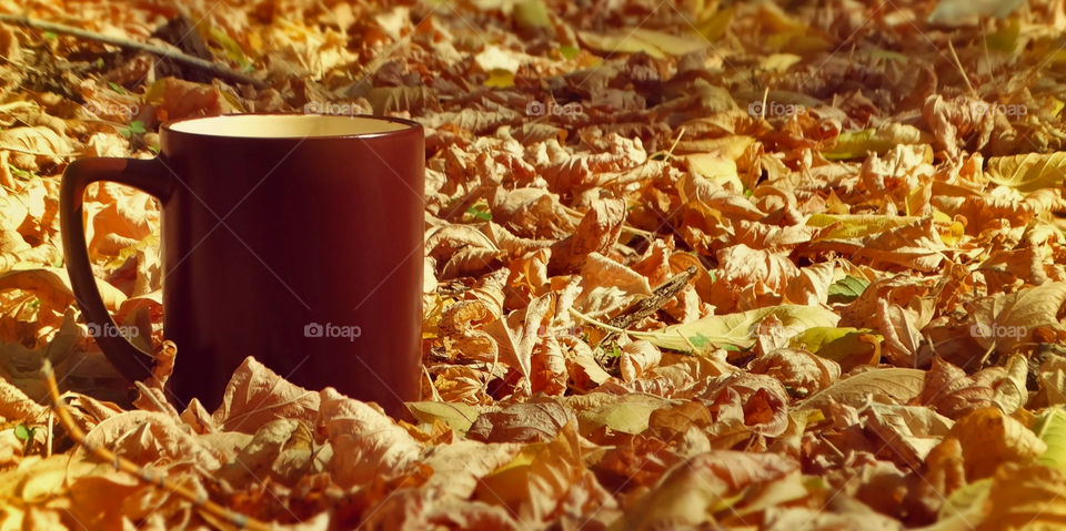 Autumn coffee time in the nature