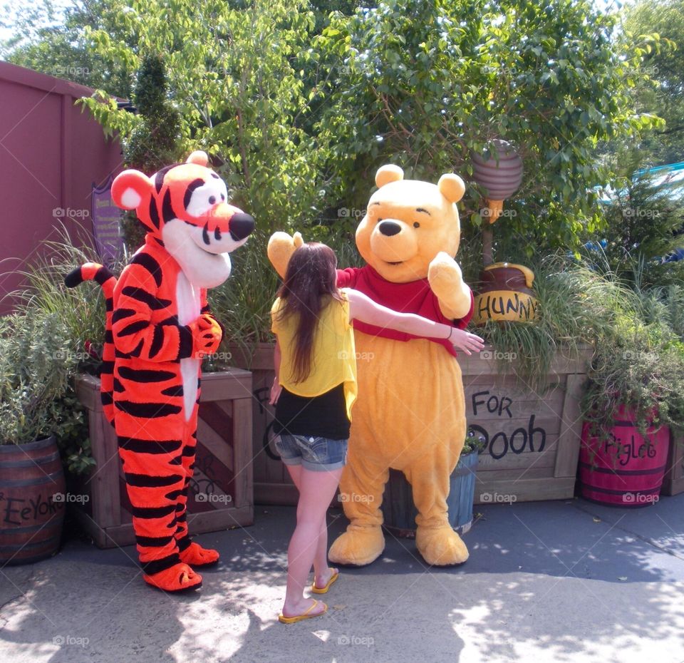 Disney Magic . Meeting Winnie and Tigger 