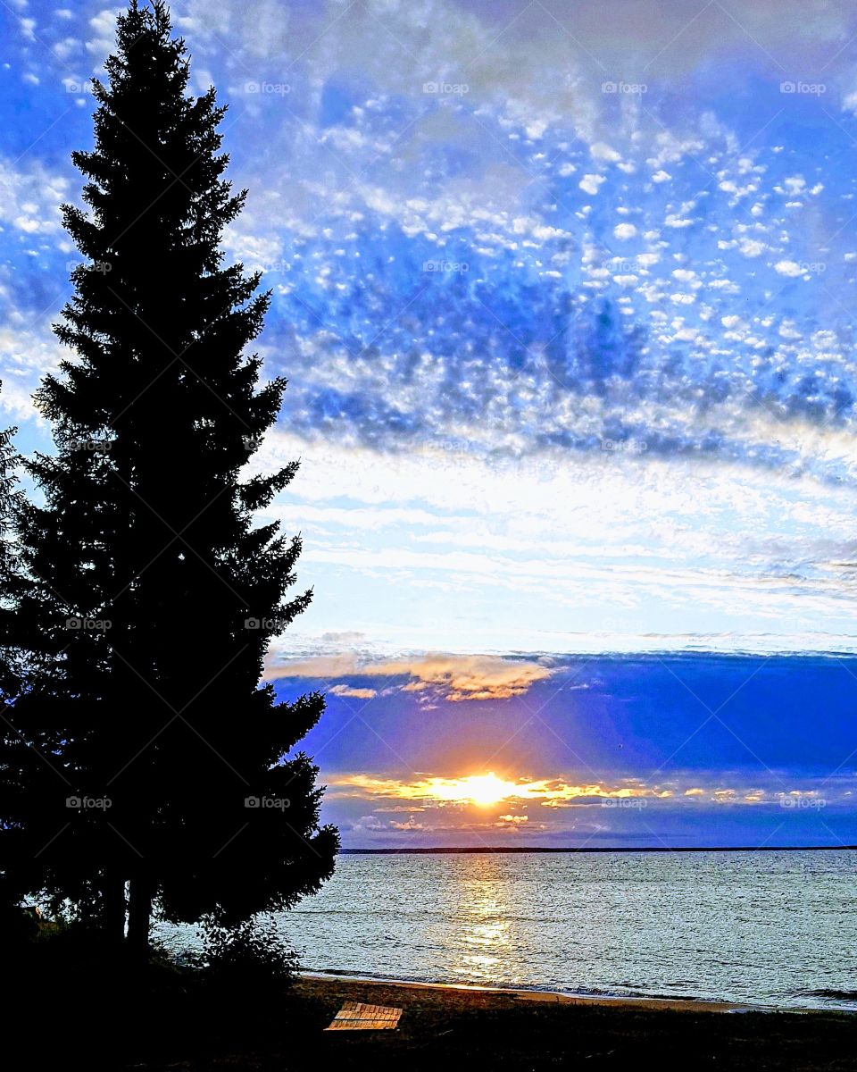 sunrise in summer morning