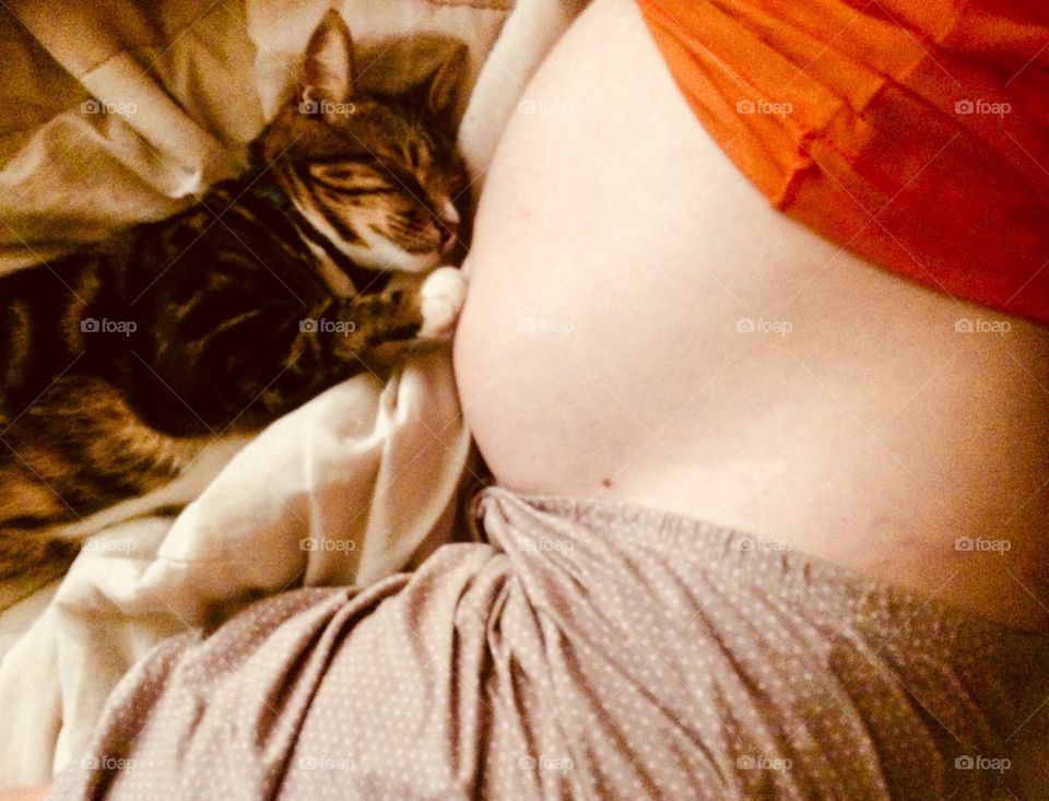 The protection from a cat to an unborn baby. 