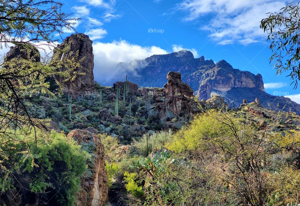 Sonoran Desert as Winter Storm Clouds Clear
