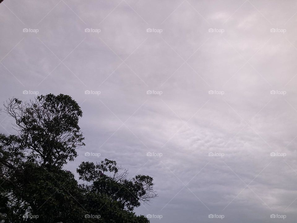 🌄🇺🇸 An extremely beautiful dawn in Jundiaí, interior of Brazil. Cheer the nature! / 🇧🇷 Um amanhecer extremamente bonito em Jundiaí, interior do Brasil. Viva a natureza! 