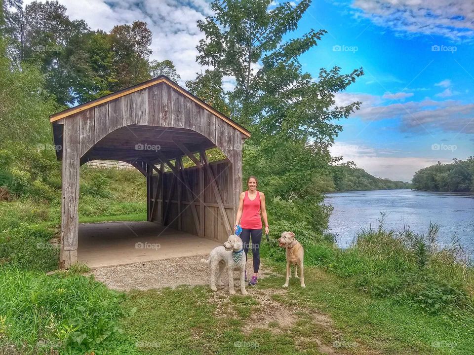 dogs by covered bridge