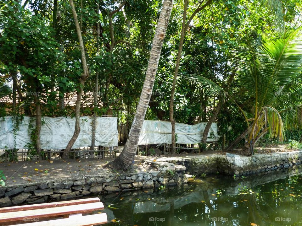 cochin backwaters in India