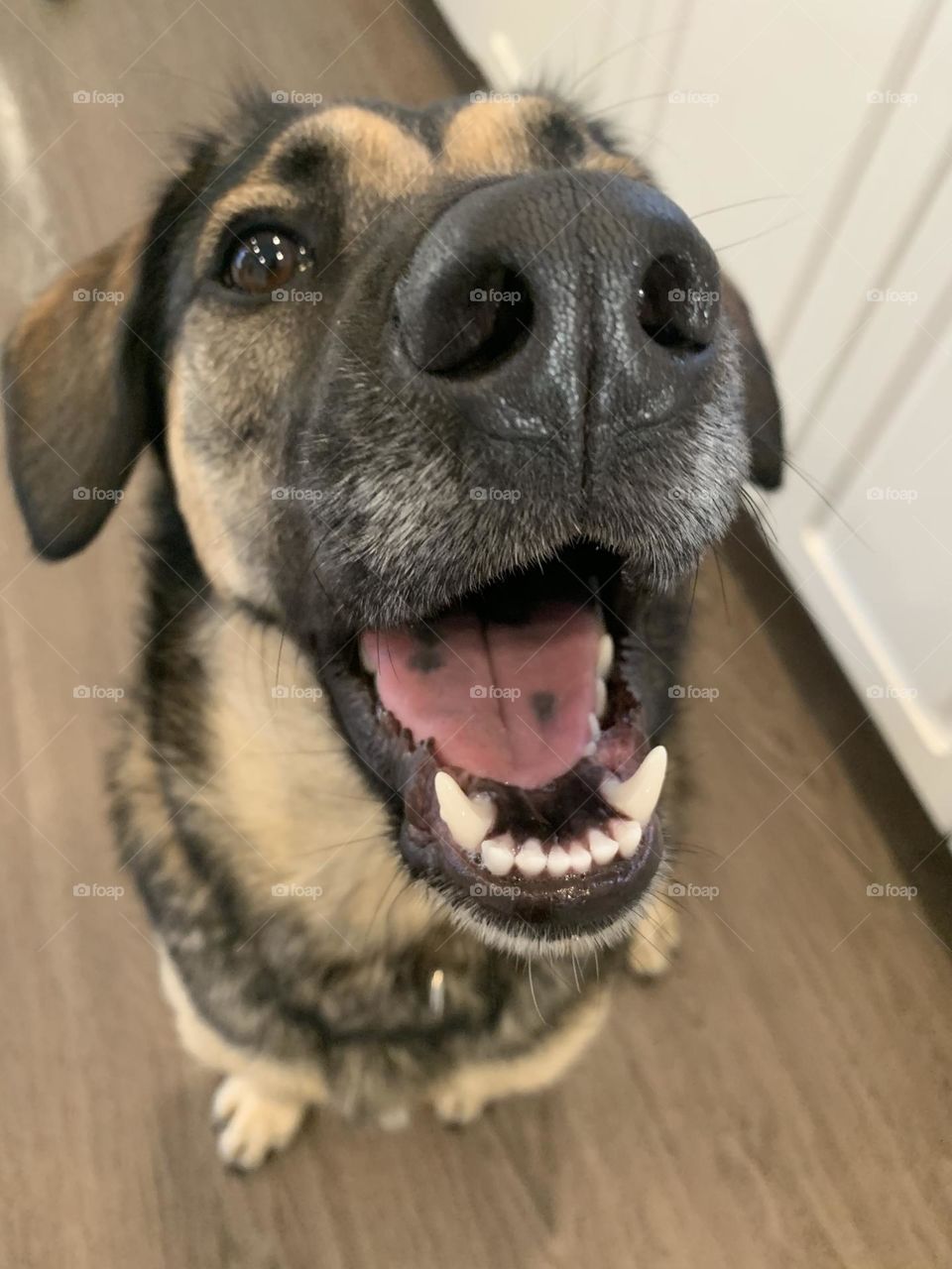 Up close and personal 