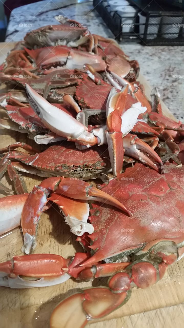 Blue Claw crabs for dinner