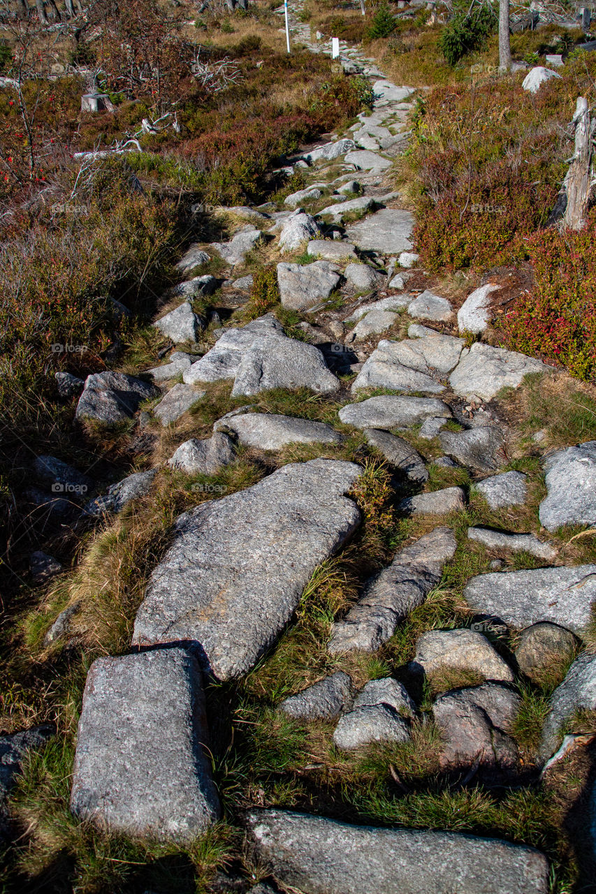 stony hiking trail