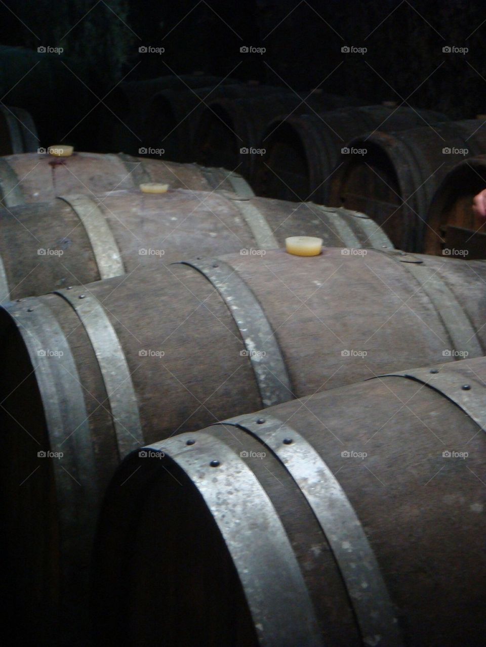 Beer barrels 