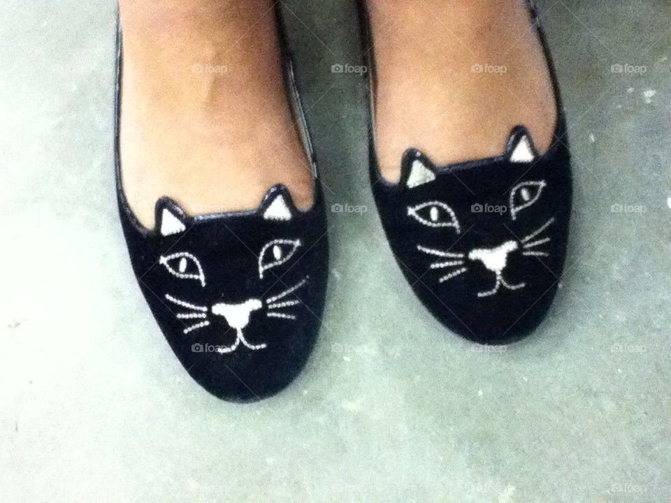 Kitten shoe