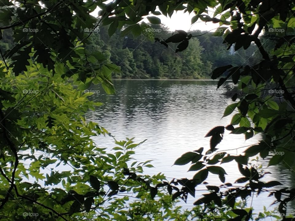 Cherokee Lake