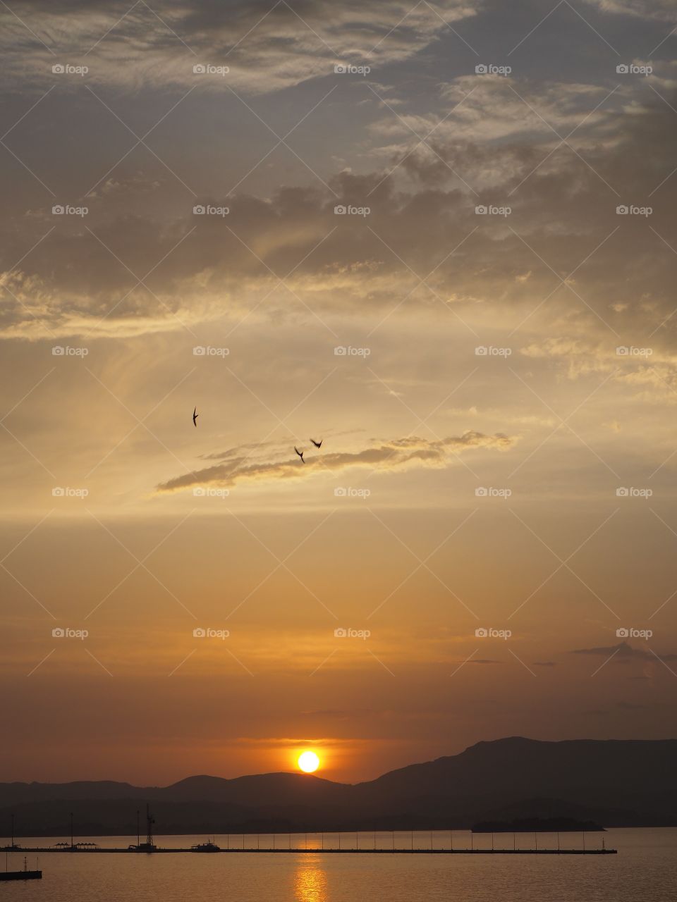 Birds flocking at sunset over Corfu Town Old Harbour, Greece