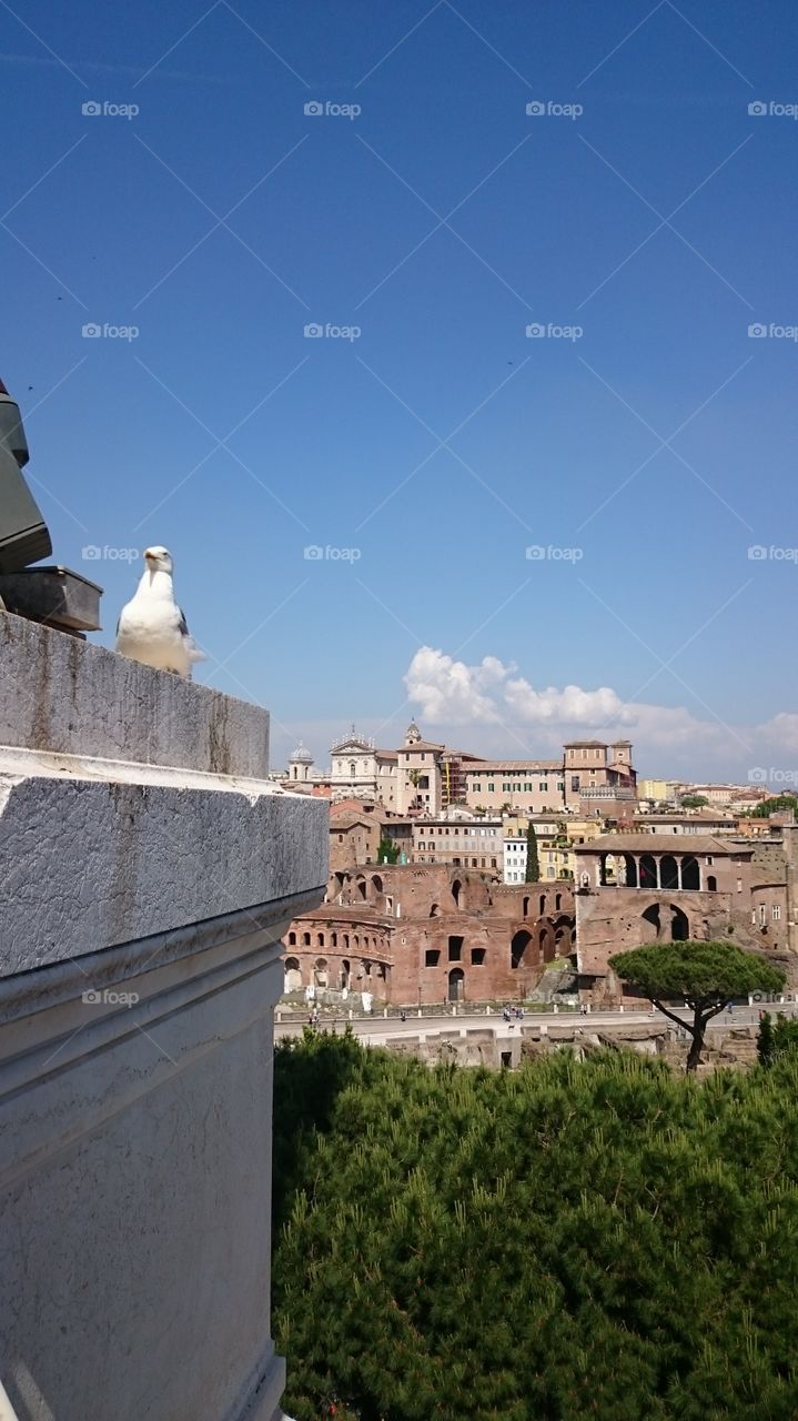 Rome. view from above