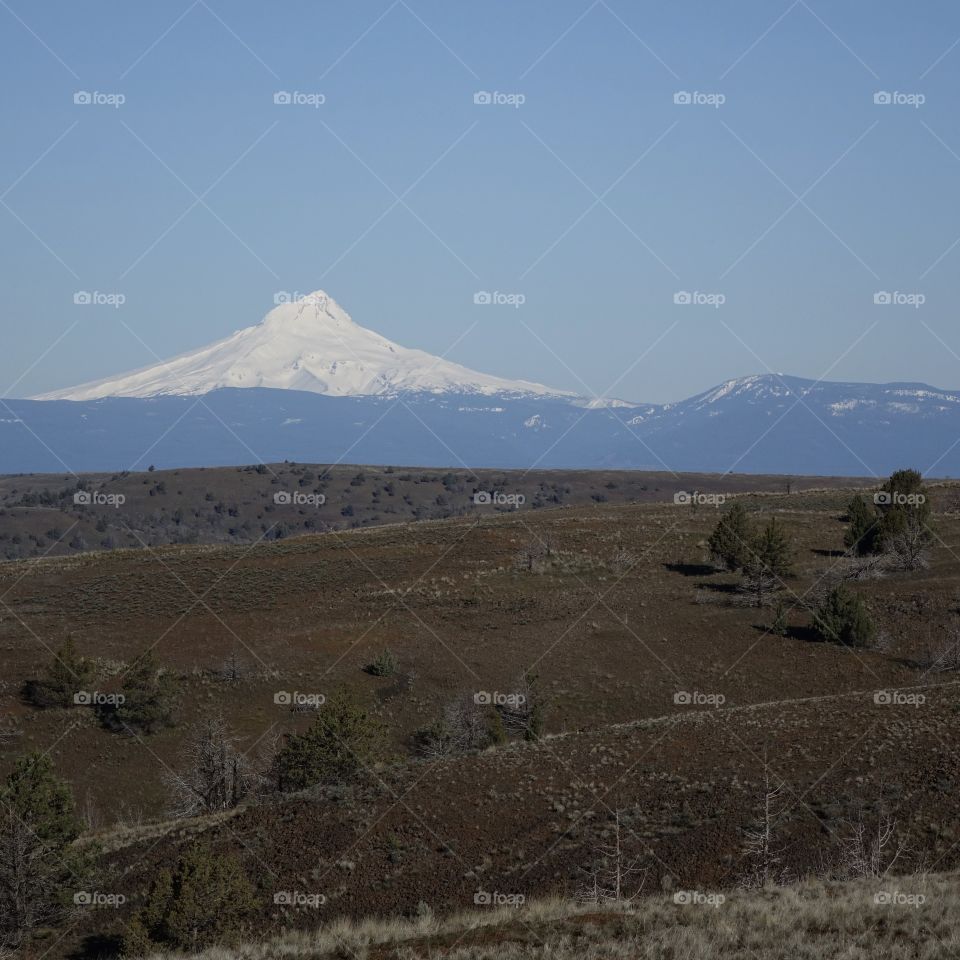 Mt. Jefferson on a sunny fall day viewed from accross rolling and empty terrain in Oregon. 