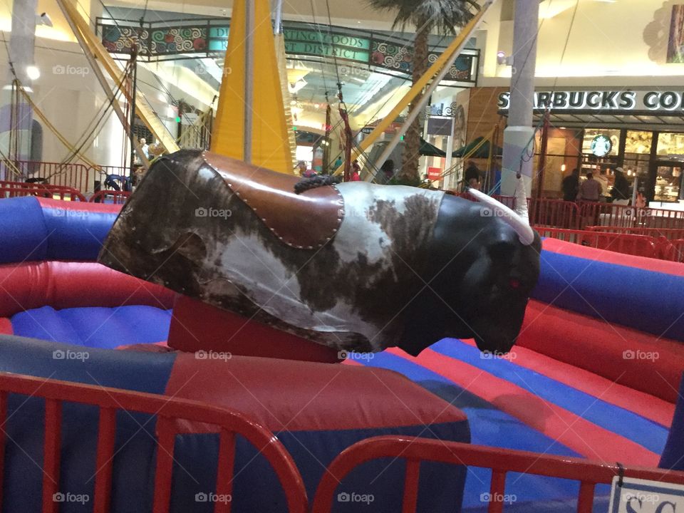 Bull ride 