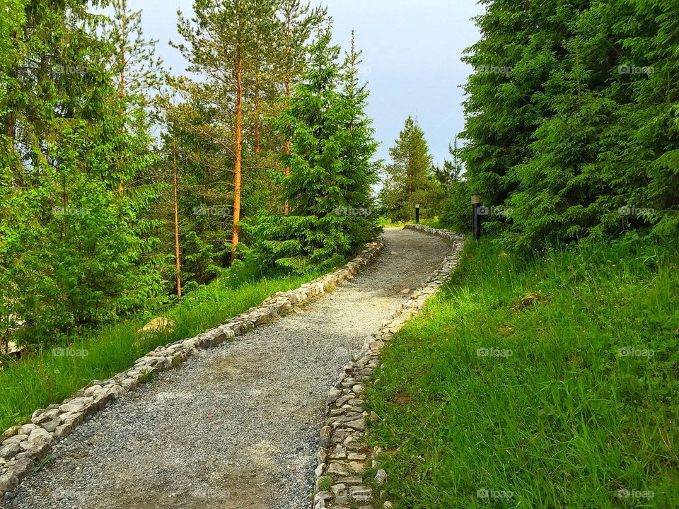 Path 