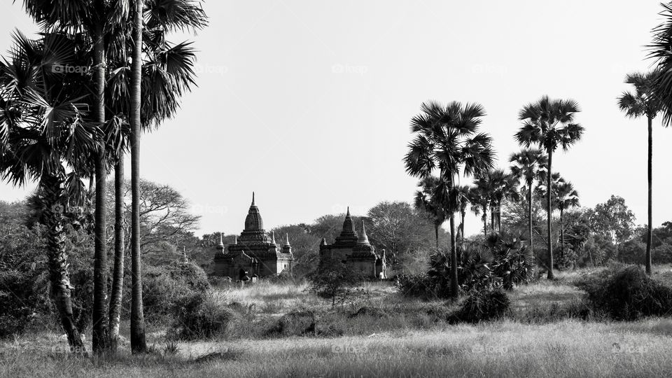 Bagan, the thousands temples. Myanmar.
