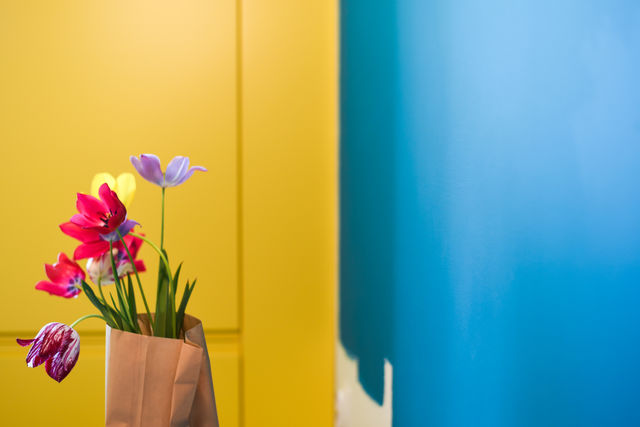 Spring in a vase🌸